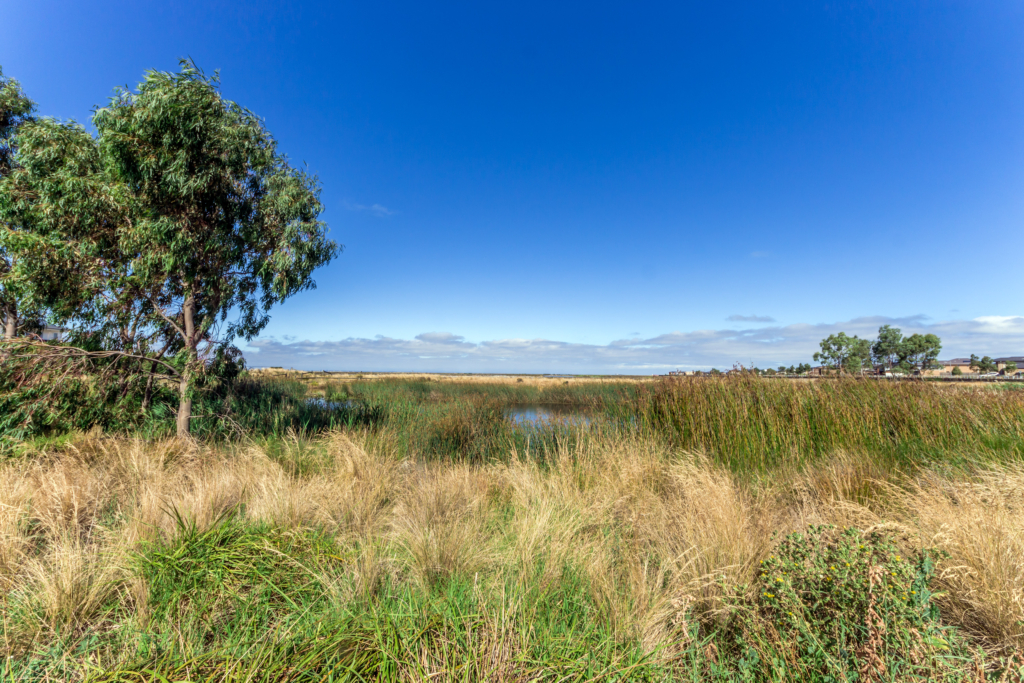 141 Citybay Drive, Point Cook, VIC 3030 — photo 13